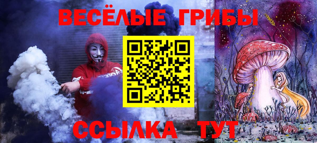 Тайшет  Псилоцибиновые грибы Psilocybe  Вход с VPN 
