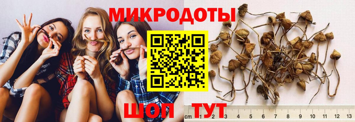 Галлюциногенные грибы ЛСД Тайшет
